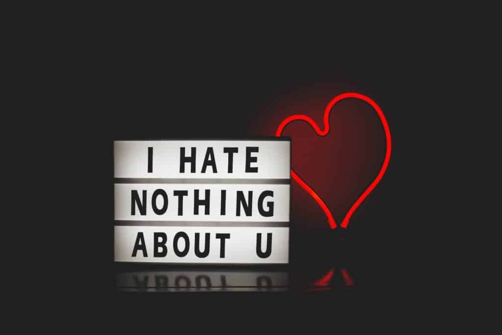 I hate nothing about you