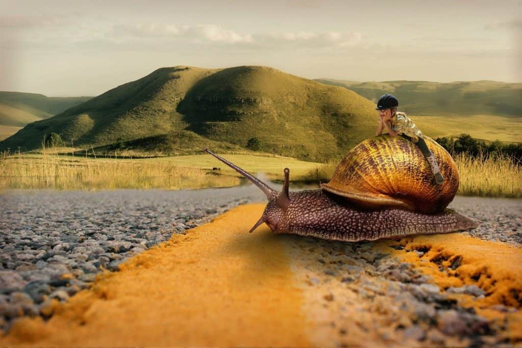 Girl riding a snail